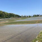 京丹後市中の田んぼに水が張られ田植えが始まっております