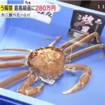 2024年松葉ガニの初セリ最高額280万円でした