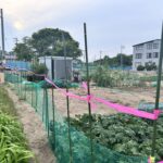 鳥獣防護柵の設置が完了しました