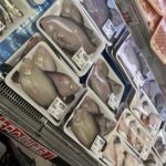 京丹後の海では底引き網漁真っ盛りです