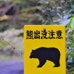 鹿の出没に加え熊の出没にもご注意下さい