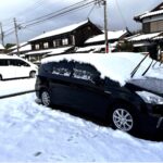 １月２日は大雪に見舞われ大変な年始となりました